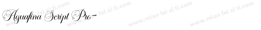 Aguafina Script Pro字体转换